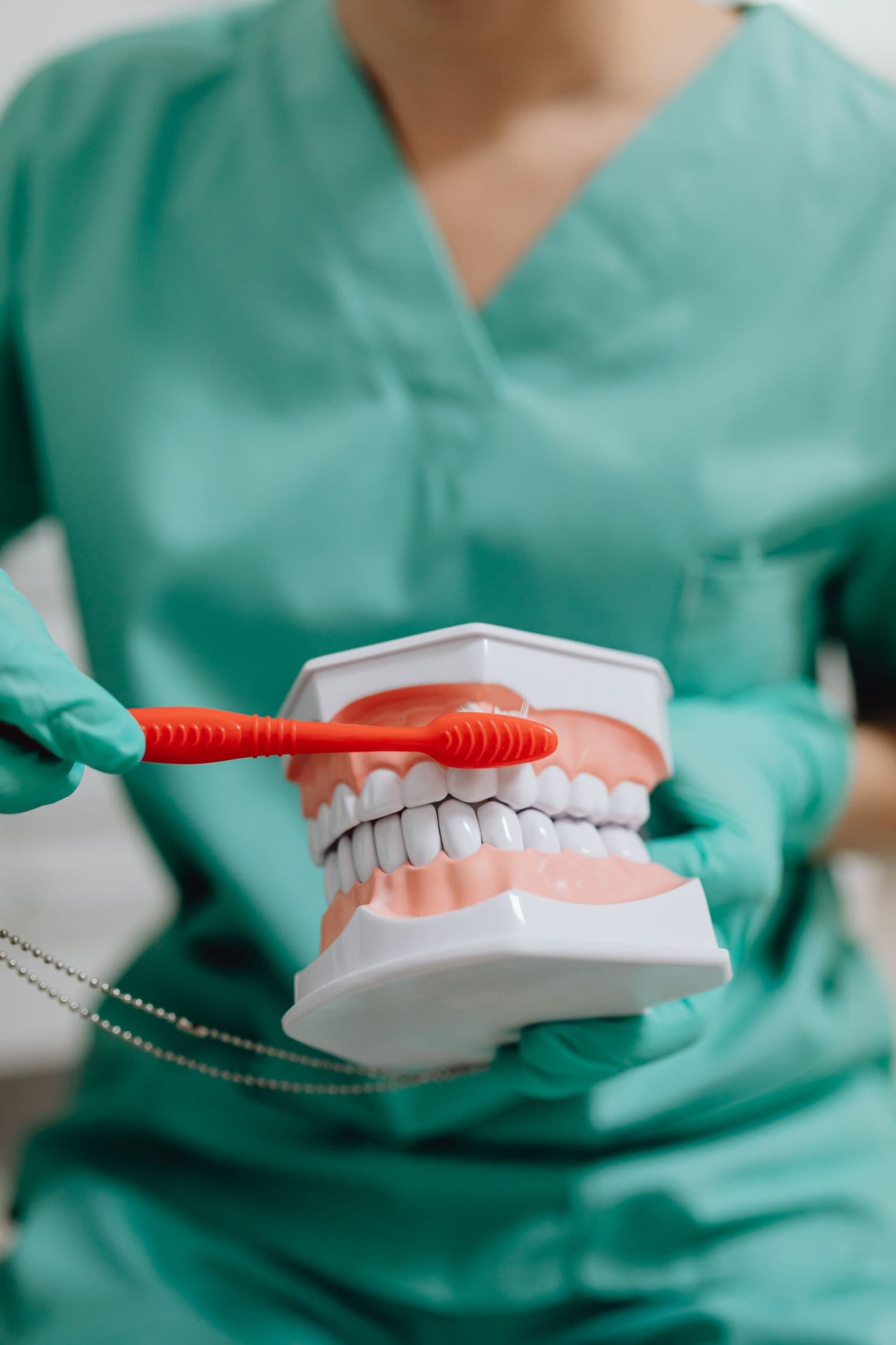 Dentist in green scrubs demonstrating toothbrushing on a model of teeth